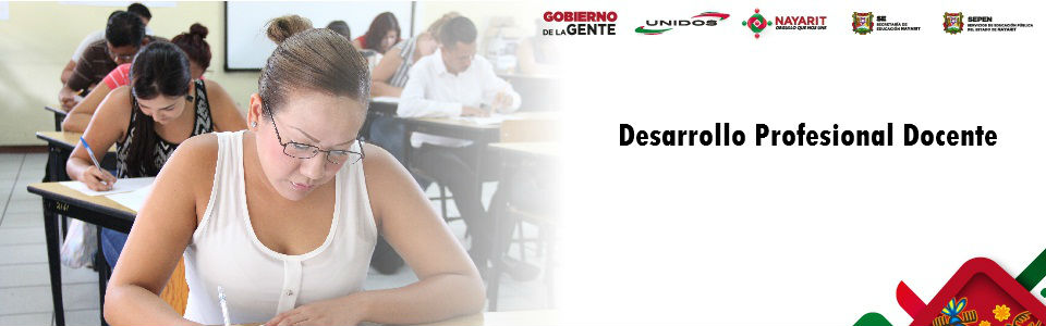 Formación Continua y Desarrollo Profesional Docente